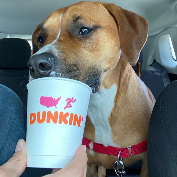 Meet your Posher, Courtney - Picture 1 of 1